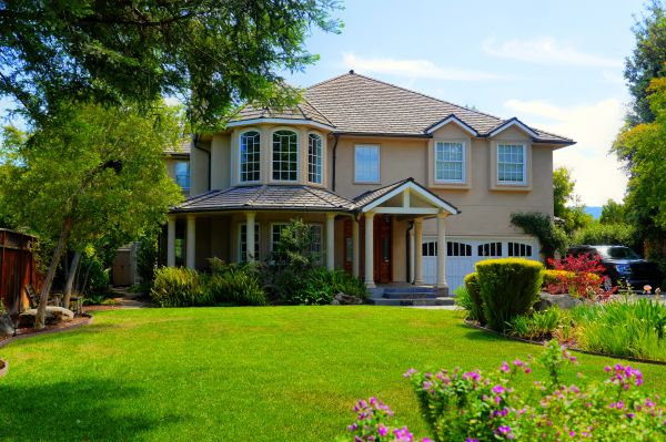 Large Yard Landscaping in Mesa
