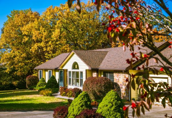 Ranch Landscaping in Mesa