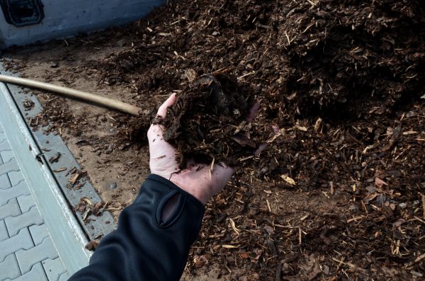 Condo Mulching in Mesa