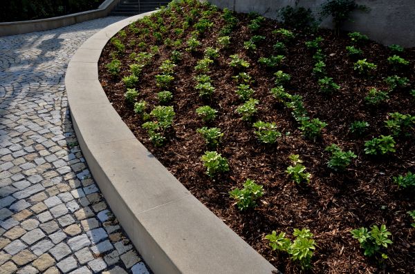 Commercial Mulching in Mesa