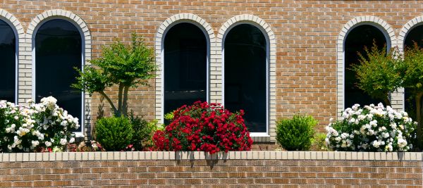 Church Landscaping in Mesa