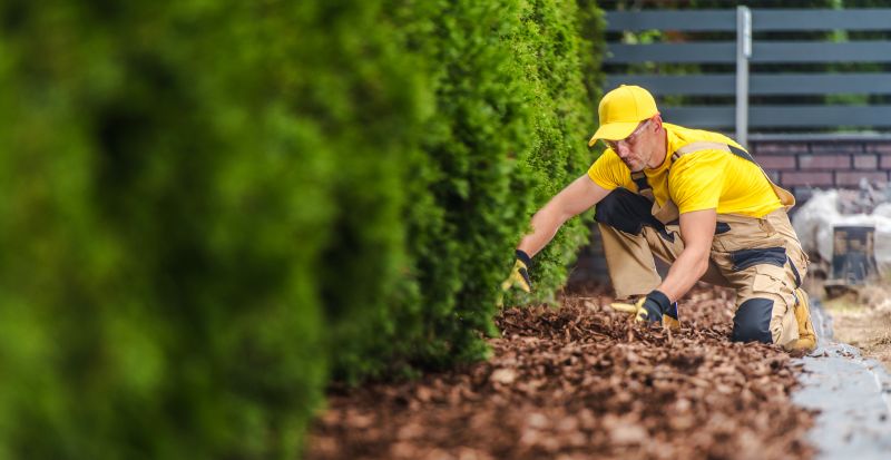 Cedar Mulch Installation