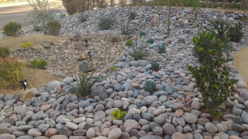 Drought Resistant Landscaping