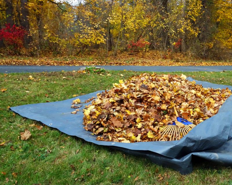 Autumn Landscape Installation