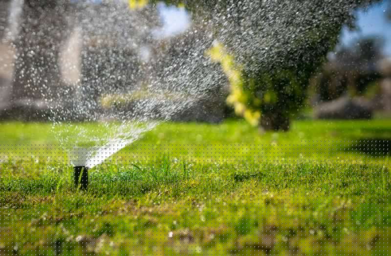 Material Picks that Last