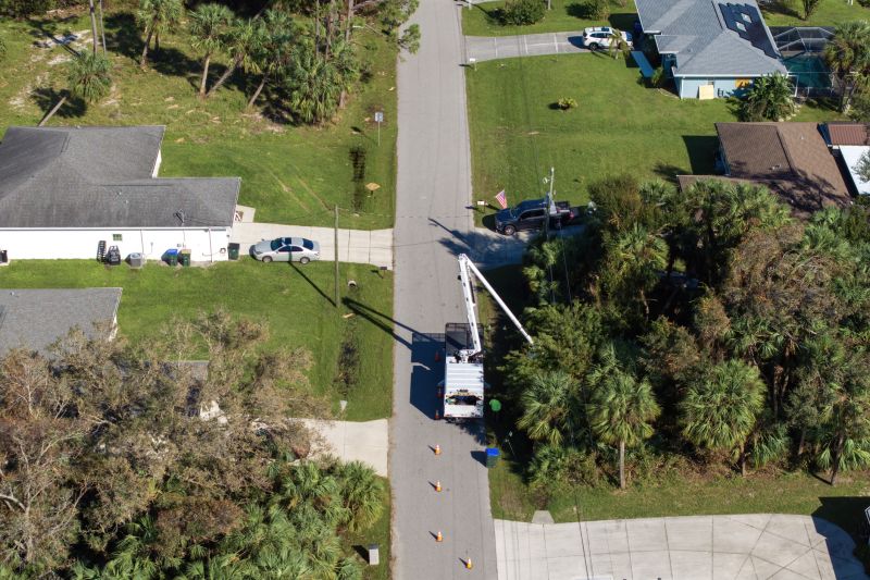 Tree Straightening Service